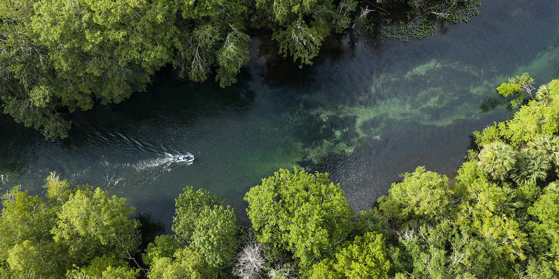 トップスライド2